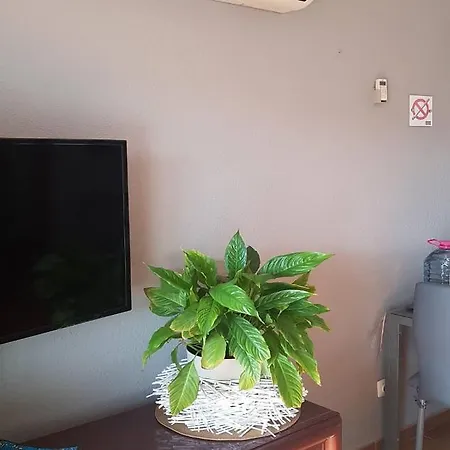 Apartamento Zen Garden Golf Del Sur San Miguel de Abona